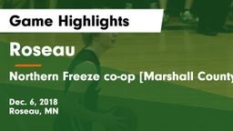 Roseau  vs Northern Freeze co-op [Marshall County Central/Tri-County]  Game Highlights - Dec. 6, 2018