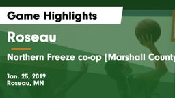 Roseau  vs Northern Freeze co-op [Marshall County Central/Tri-County]  Game Highlights - Jan. 25, 2019