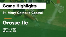 St. Mary Catholic Central  vs Grosse Ile Game Highlights - May 6, 2024