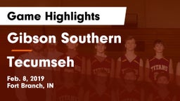 Gibson Southern  vs Tecumseh  Game Highlights - Feb. 8, 2019