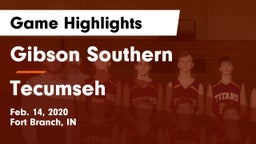 Gibson Southern  vs Tecumseh  Game Highlights - Feb. 14, 2020