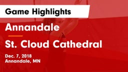 Annandale  vs St. Cloud Cathedral  Game Highlights - Dec. 7, 2018