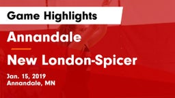 Annandale  vs New London-Spicer  Game Highlights - Jan. 15, 2019