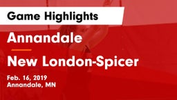 Annandale  vs New London-Spicer  Game Highlights - Feb. 16, 2019