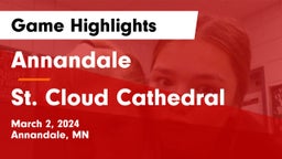 Annandale  vs St. Cloud Cathedral  Game Highlights - March 2, 2024