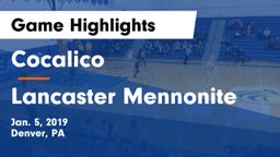Cocalico  vs Lancaster Mennonite Game Highlights - Jan. 5, 2019