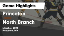 Princeton  vs North Branch Game Highlights - March 6, 2021