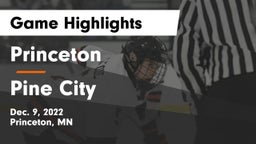 Princeton  vs Pine City  Game Highlights - Dec. 9, 2022