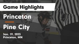 Princeton  vs Pine City  Game Highlights - Jan. 19, 2023