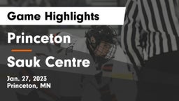 Princeton  vs Sauk Centre  Game Highlights - Jan. 27, 2023