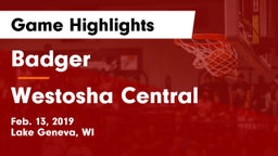 Badger  vs Westosha Central  Game Highlights - Feb. 13, 2019