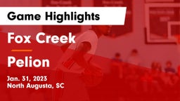 Fox Creek  vs Pelion  Game Highlights - Jan. 31, 2023