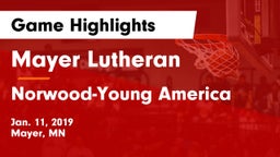 Mayer Lutheran  vs Norwood-Young America  Game Highlights - Jan. 11, 2019