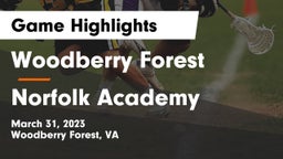 Woodberry Forest  vs Norfolk Academy Game Highlights - March 31, 2023