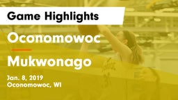 Oconomowoc  vs Mukwonago  Game Highlights - Jan. 8, 2019