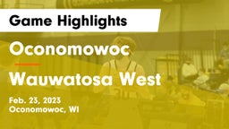 Oconomowoc  vs Wauwatosa West  Game Highlights - Feb. 23, 2023