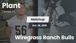 Matchup: Plant  vs. Wiregrass Ranch Bulls 2018