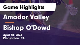Amador Valley  vs Bishop O'Dowd  Game Highlights - April 18, 2024