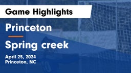 Princeton  vs Spring creek Game Highlights - April 25, 2024