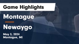 Montague  vs Newaygo  Game Highlights - May 3, 2024