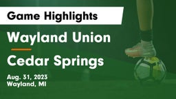 Wayland Union  vs Cedar Springs  Game Highlights - Aug. 31, 2023