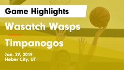 Wasatch Wasps vs Timpanogos  Game Highlights - Jan. 29, 2019