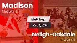 Matchup: Madison  vs. Neligh-Oakdale  2018