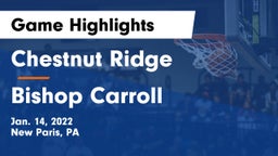 Chestnut Ridge  vs Bishop Carroll  Game Highlights - Jan. 14, 2022