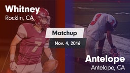 Matchup: Whitney  vs. Antelope  2016