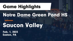 Notre Dame Green Pond HS vs Saucon Valley  Game Highlights - Feb. 1, 2023