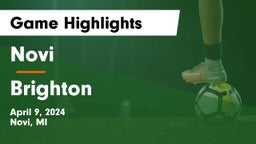 Novi  vs Brighton  Game Highlights - April 9, 2024