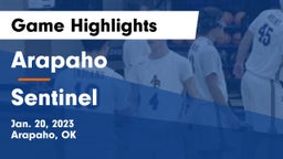 Arapaho  vs Sentinel Game Highlights - Jan. 20, 2023