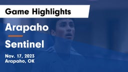 Arapaho  vs Sentinel Game Highlights - Nov. 17, 2023