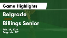 Belgrade  vs Billings Senior  Game Highlights - Feb. 29, 2020