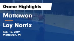 Mattawan  vs Loy Norrix Game Highlights - Feb. 19, 2019