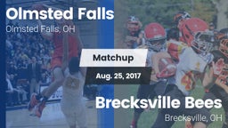 Matchup: Olmsted Falls High vs. Brecksville Bees 2017