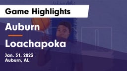Auburn  vs Loachapoka  Game Highlights - Jan. 31, 2023