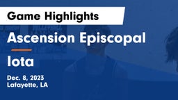 Ascension Episcopal  vs Iota  Game Highlights - Dec. 8, 2023