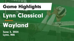 Lynn Classical  vs Wayland  Game Highlights - June 3, 2024