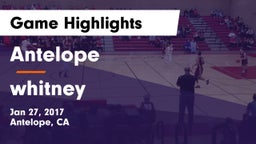 Antelope  vs whitney Game Highlights - Jan 27, 2017