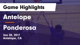 Antelope  vs Ponderosa  Game Highlights - Jan 30, 2017