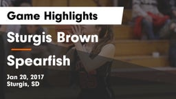 Sturgis Brown  vs Spearfish  Game Highlights - Jan 20, 2017