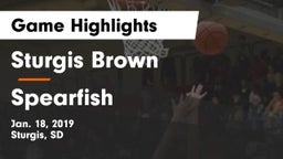 Sturgis Brown  vs Spearfish  Game Highlights - Jan. 18, 2019