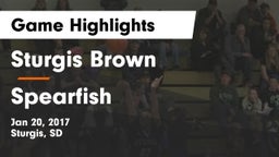 Sturgis Brown  vs Spearfish  Game Highlights - Jan 20, 2017