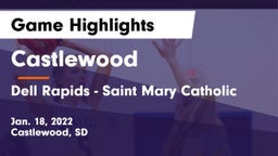 Castlewood  vs Dell Rapids - Saint Mary Catholic  Game Highlights - Jan. 18, 2022