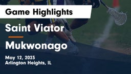 Saint Viator  vs Mukwonago  Game Highlights - May 12, 2023