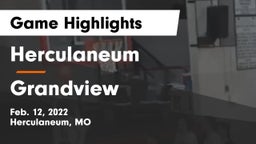 Herculaneum  vs Grandview Game Highlights - Feb. 12, 2022