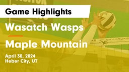 Wasatch Wasps vs Maple Mountain  Game Highlights - April 30, 2024