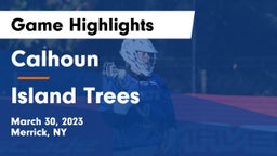 Calhoun  vs Island Trees  Game Highlights - March 30, 2023