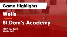 Wells  vs St.Dom's Academy Game Highlights - May 30, 2024